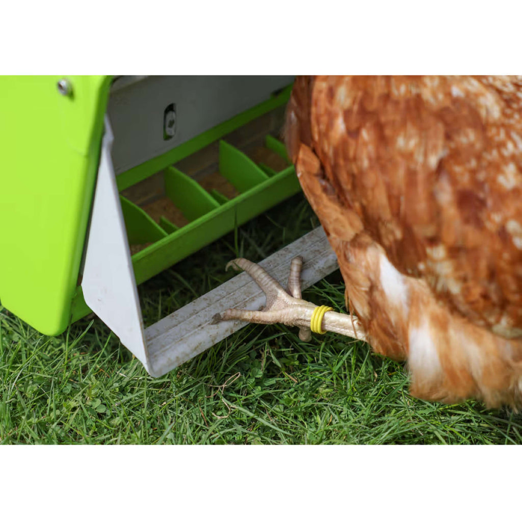 Kerbl Distributeur Automatique de Nourriture avec Clapet de Protection Vert