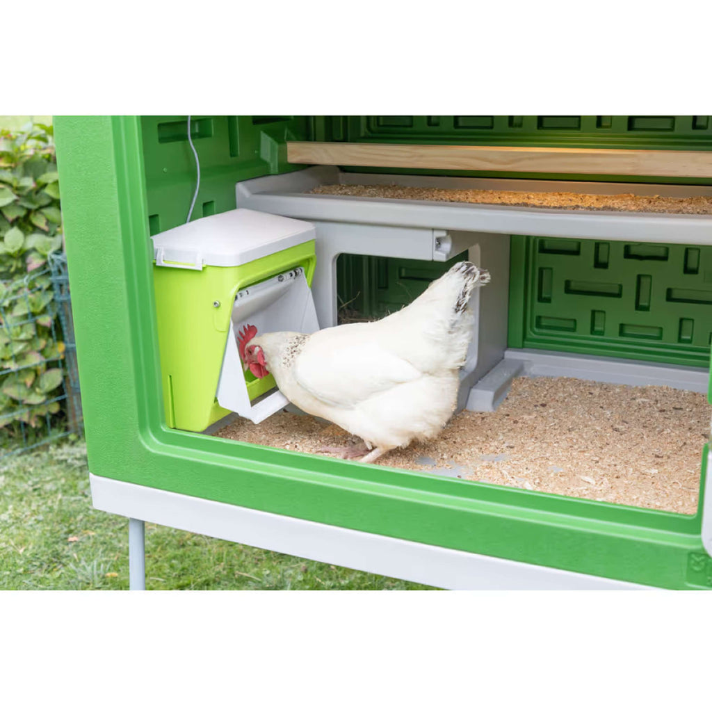 Kerbl Distributeur Automatique de Nourriture avec Clapet de Protection Vert