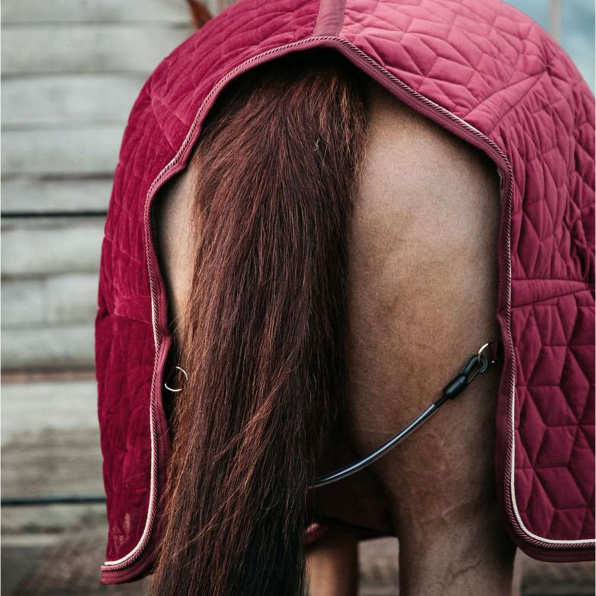 Couverture de box bordeaux 400g Kentucky Horsewear | OHLALA Couverture de box bordeaux 400g Kentucky Horsewear | OHLALA