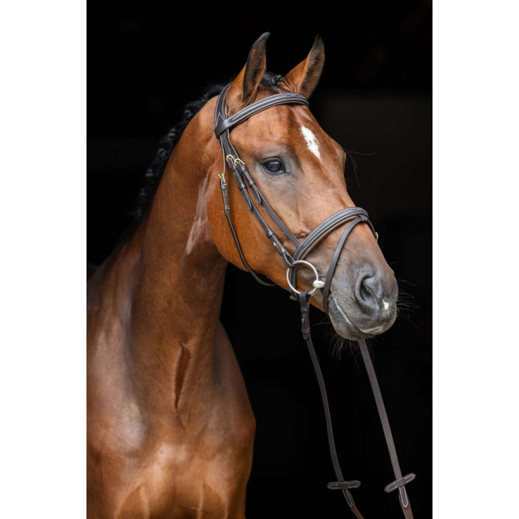 Kerbl Bridon classique en cuir Marron classique