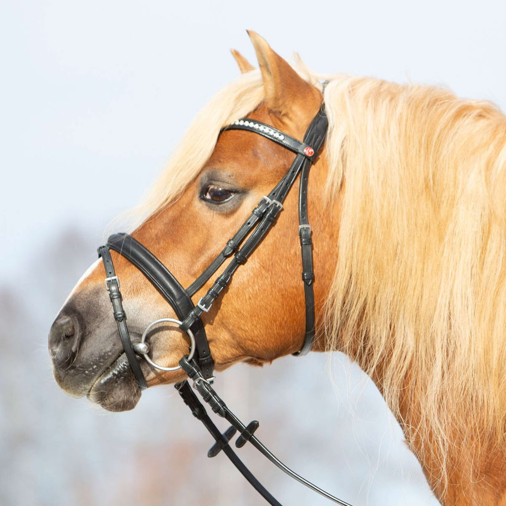 Kieffer Bride Ultrasoft Haflinger Noir/Blanches Pierres