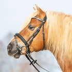 Kieffer Bride Ultrasoft Haflinger Noir/Blanches Pierres