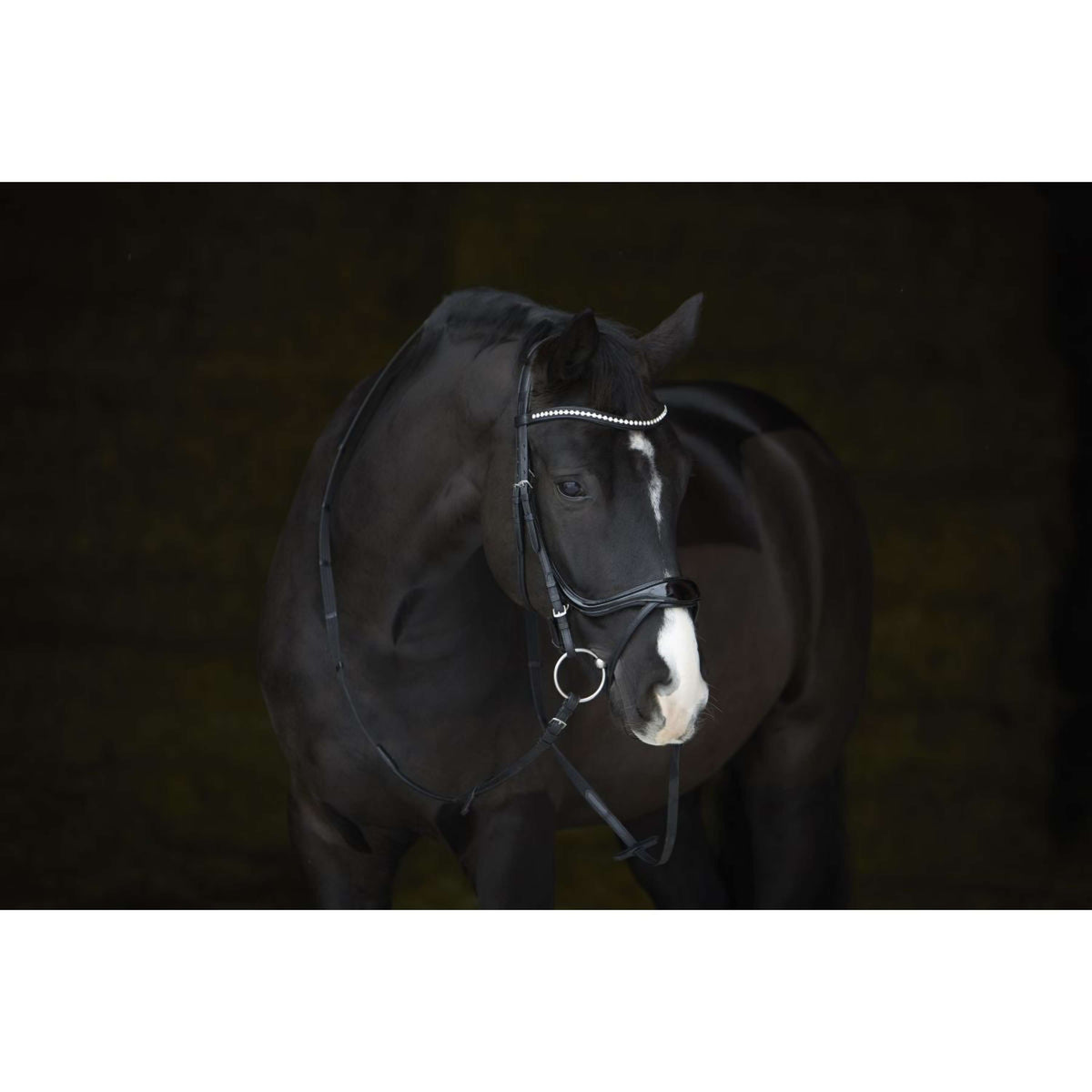 Kieffer Bride Amy Shine Noir