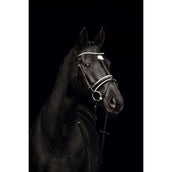 Kieffer Bridon Comfort Paris Anglais Muserolle avec Noseband, Noir Technique, Vernis, 35mm Noir/Blanc