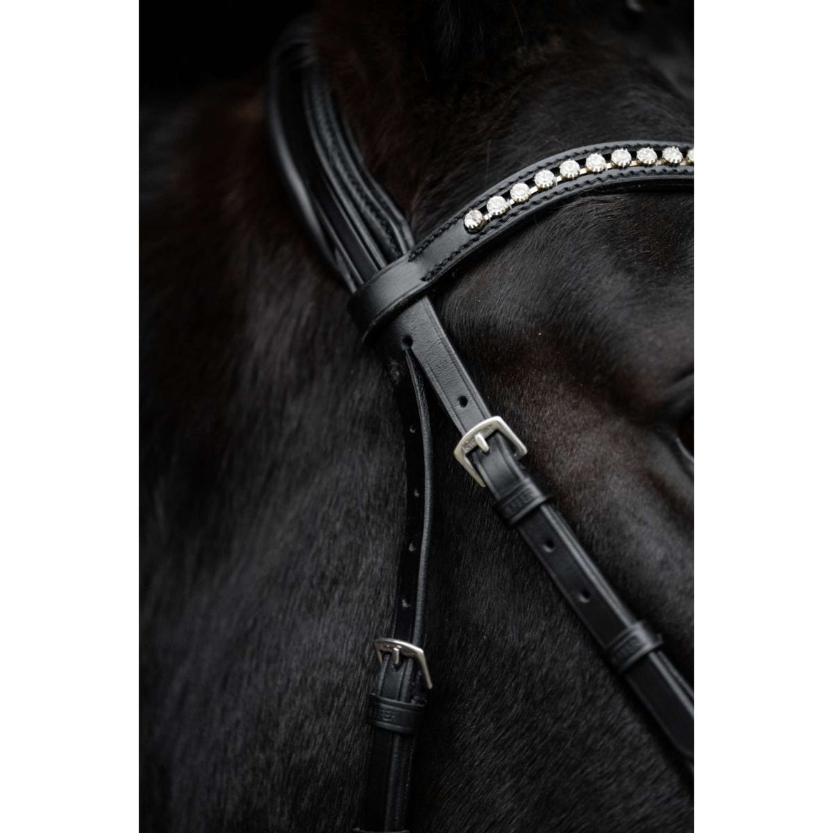 Kieffer Bridon Comfort Paris Anglais Muserolle avec Noseband, Noir Technique, Vernis, 35mm Noir/Blanc