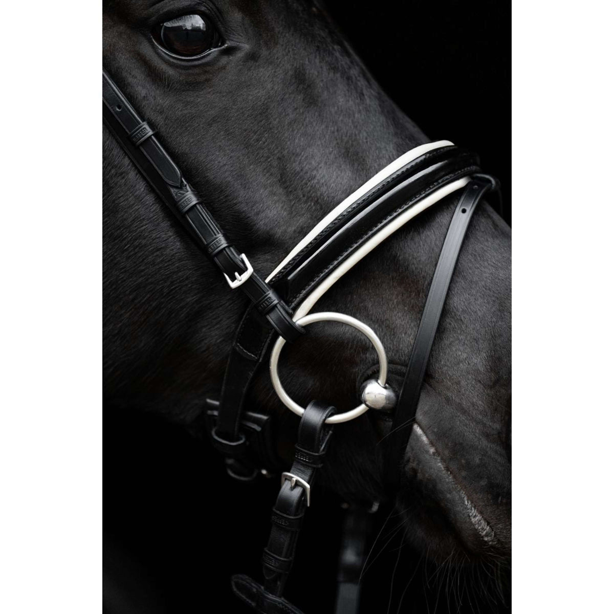 Kieffer Bridon Comfort Paris Anglais Muserolle avec Noseband, Noir Technique, Vernis, 35mm Noir/Blanc