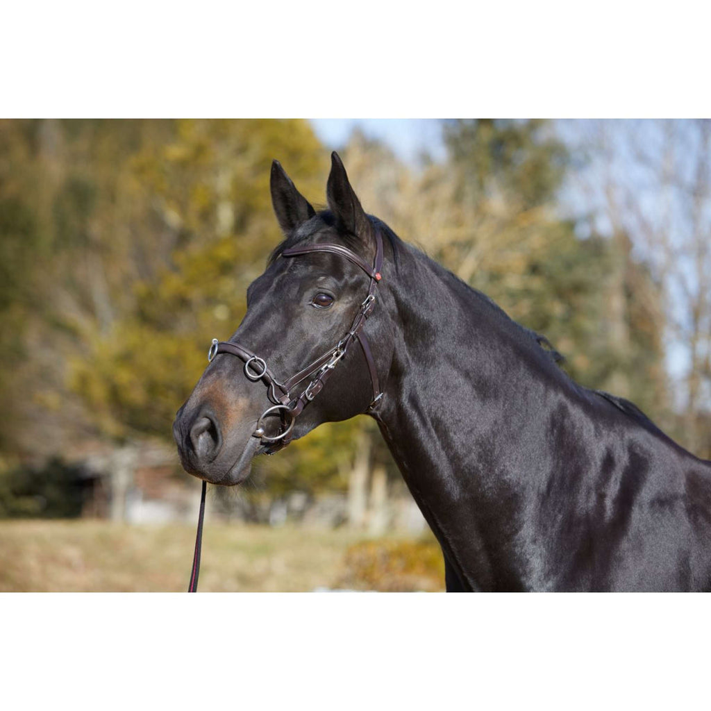 Kieffer Caveçon Utrasoft Noir