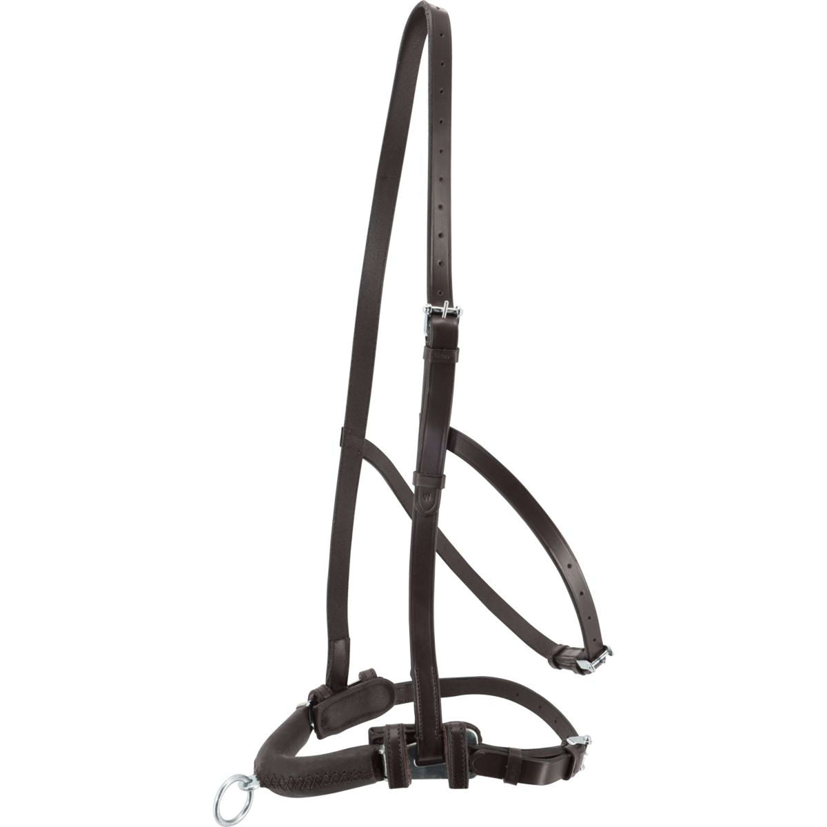 Kieffer Caveçon Anja Beran Noir