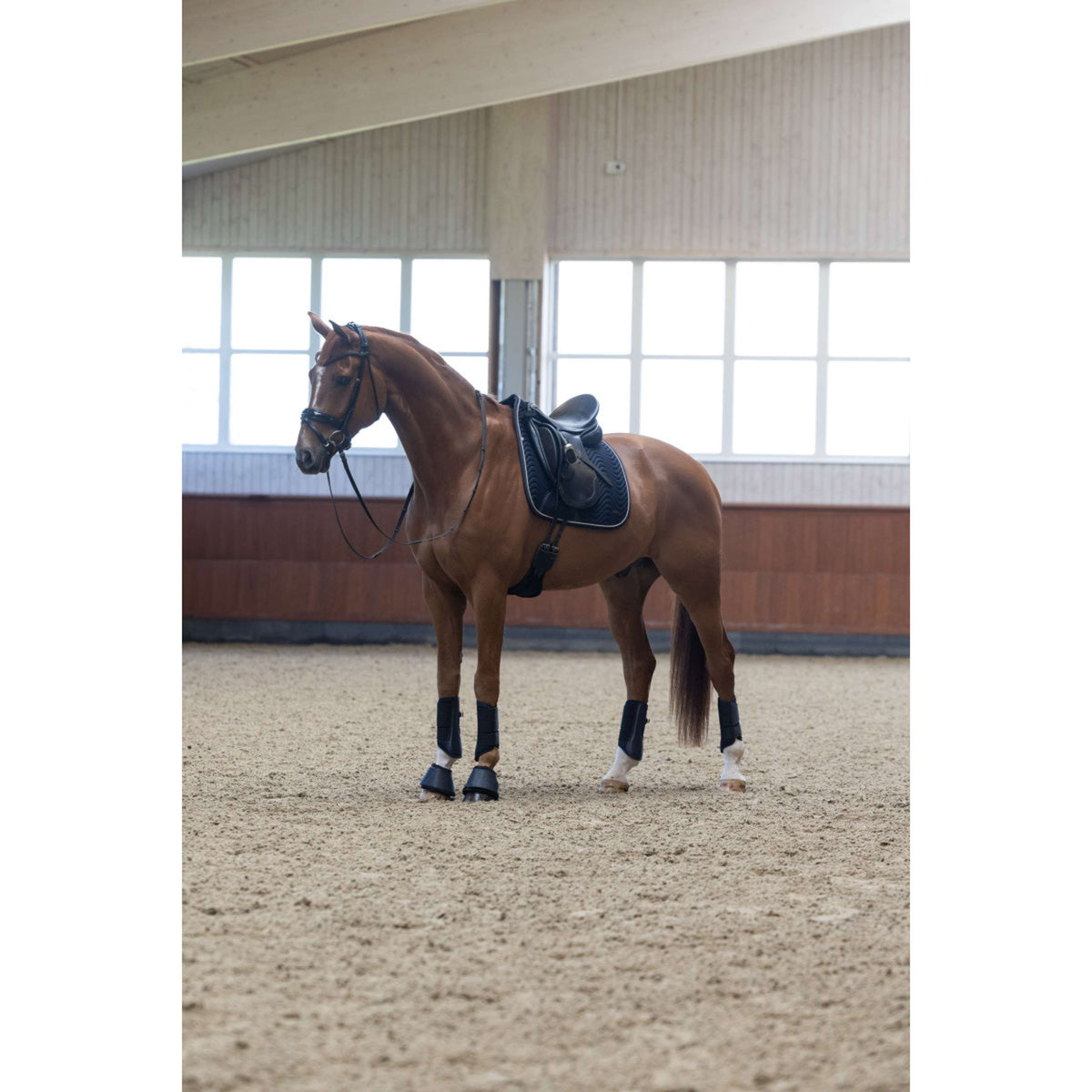 Kingsland Tapis de Selle KLLucca Cooling Dressage Marin