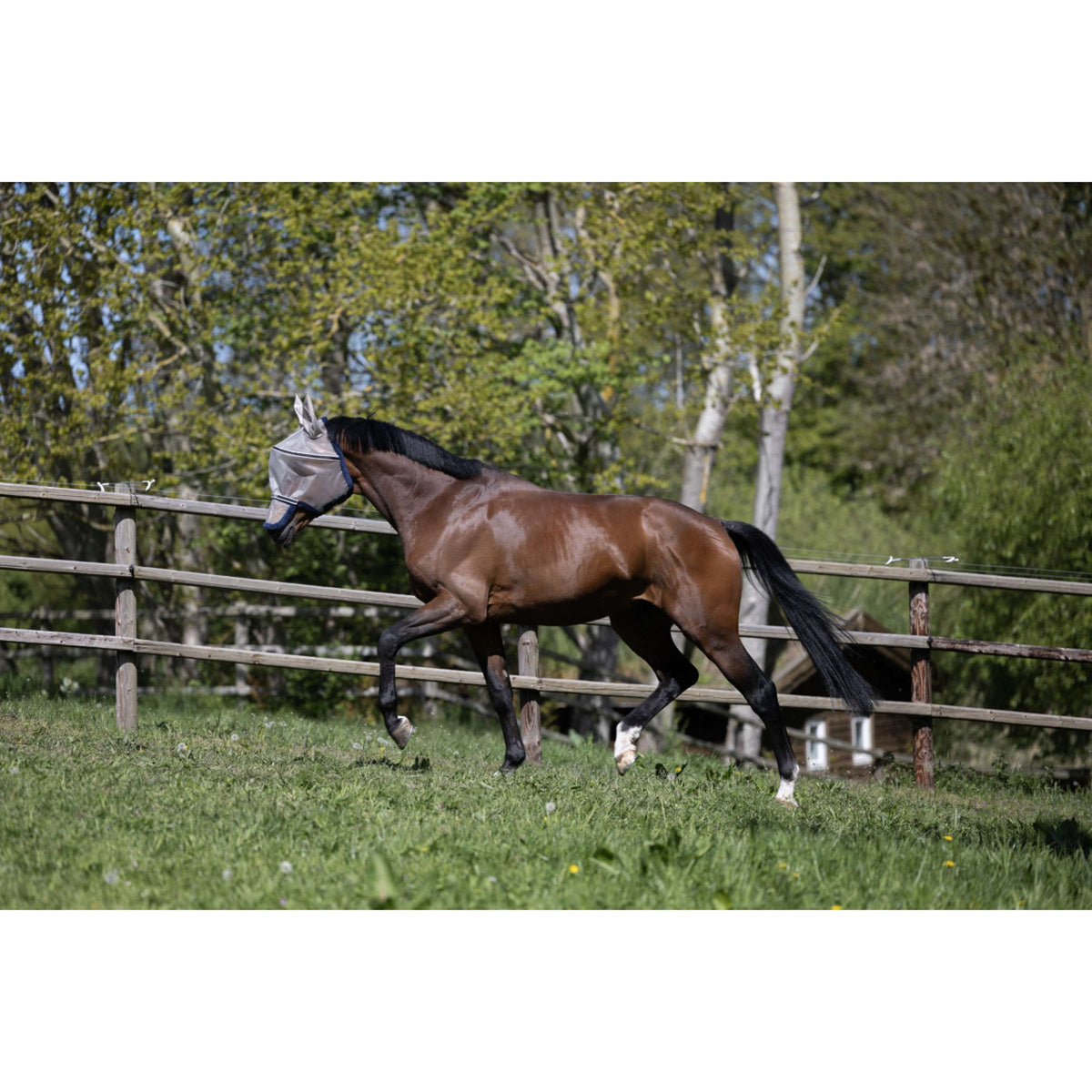 Kingsland Masque Anti-Mouches KLLando avec Oreilles Rainy Day