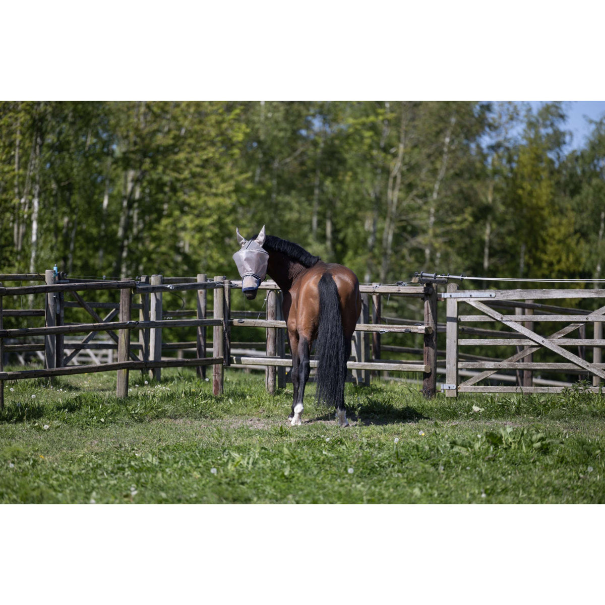 Kingsland Masque Anti-Mouches KLLando avec Oreilles Rainy Day