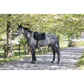 Kingsland Tapis de Selle KLLucca Cooling de Saut Marin