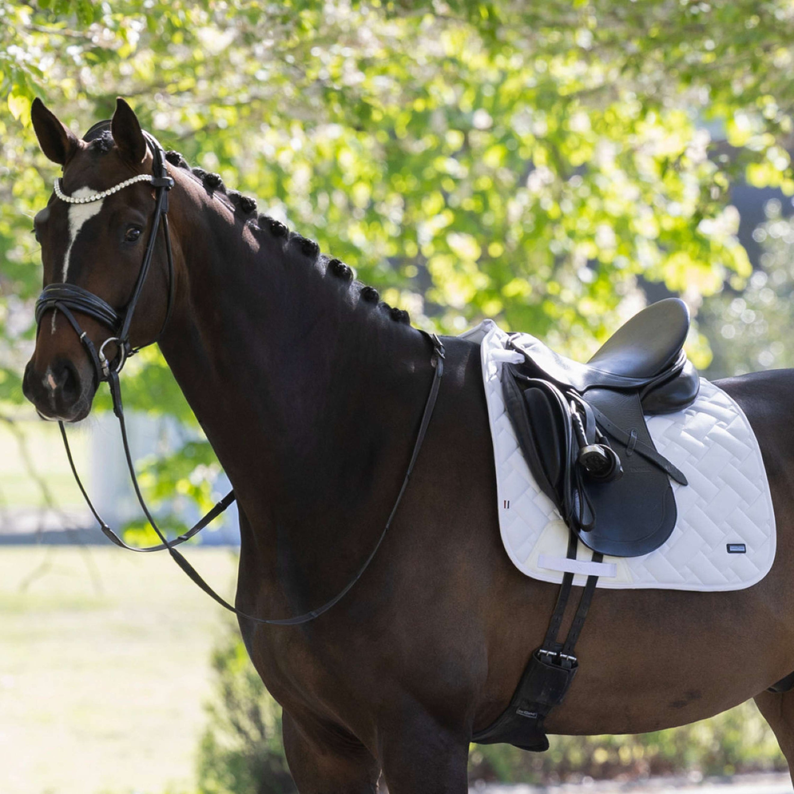 Kingsland Tapis de Selle KLLexie Dressage Blanc