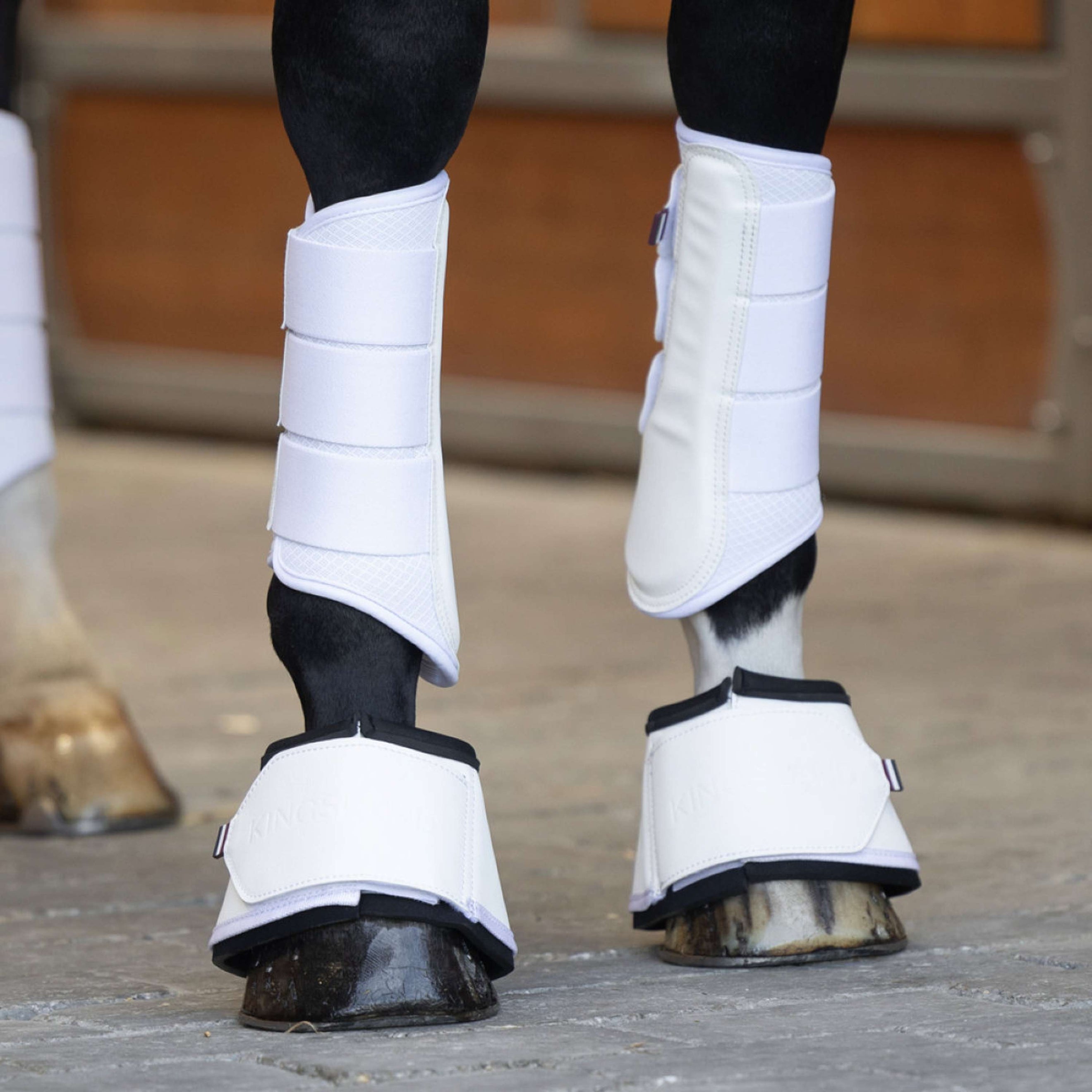 Kingsland Dressage Boots KLLexie Blanc