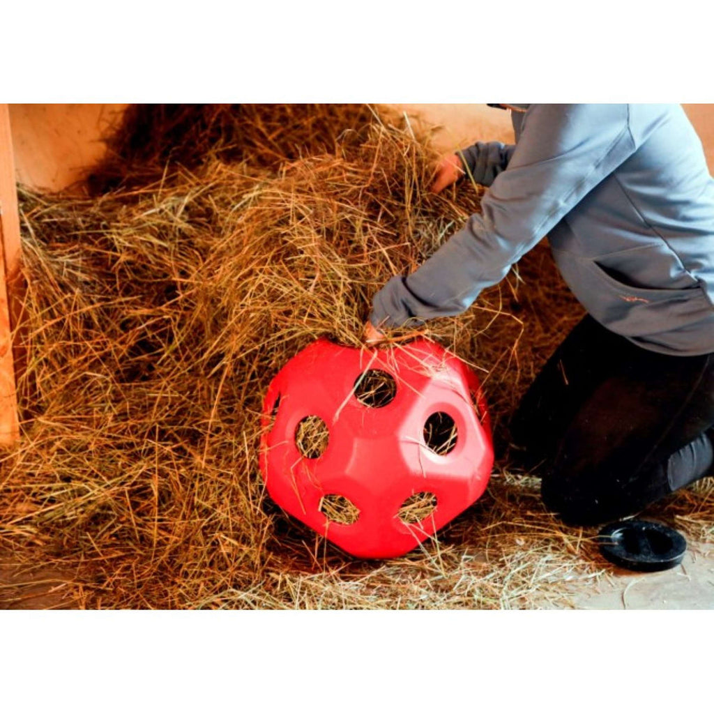 Kerbl Slowfeeder Ball HeuBoy Rouge