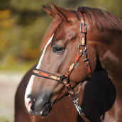 Kavalkade Licol Classic Raute Marron/Marron Clair/Orange