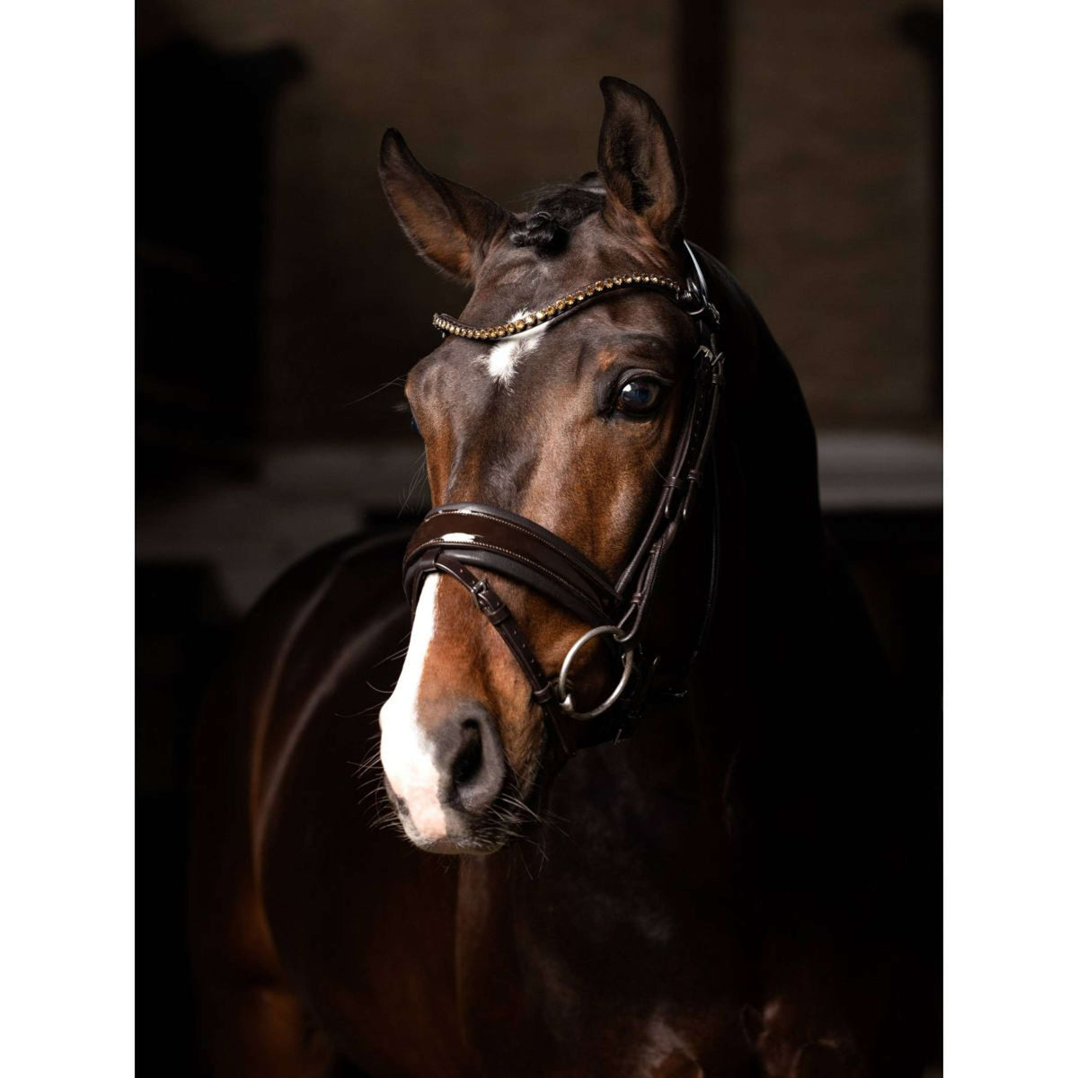 LeMieux Bride Kudos Patent Dressage Marron