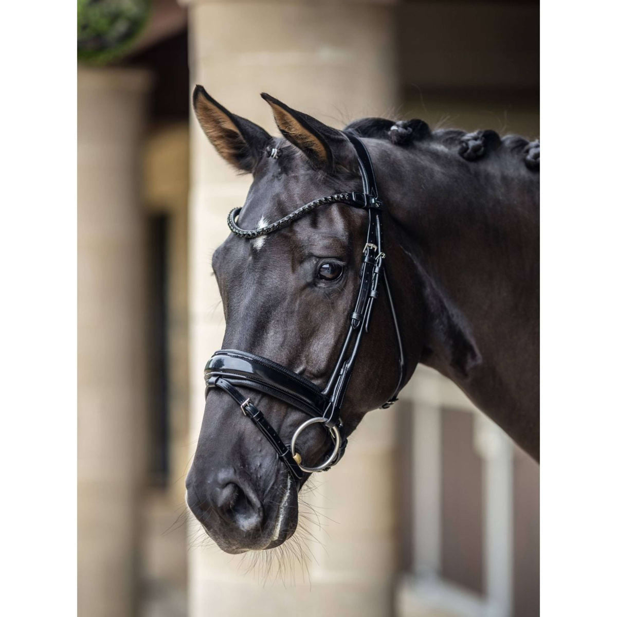 LeMieux Bride Kudos Patent Dressage Noir