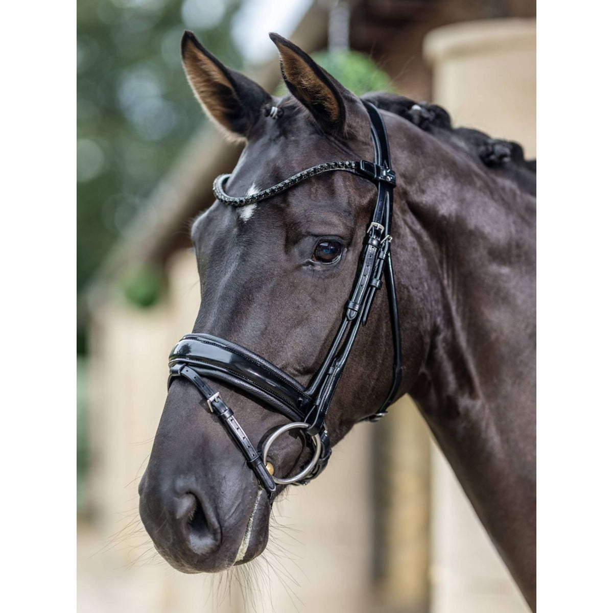 Bride double en dressage: fonctionnement, quand l’utiliser et Bride double en dressage: fonctionnement, quand l’utiliser et