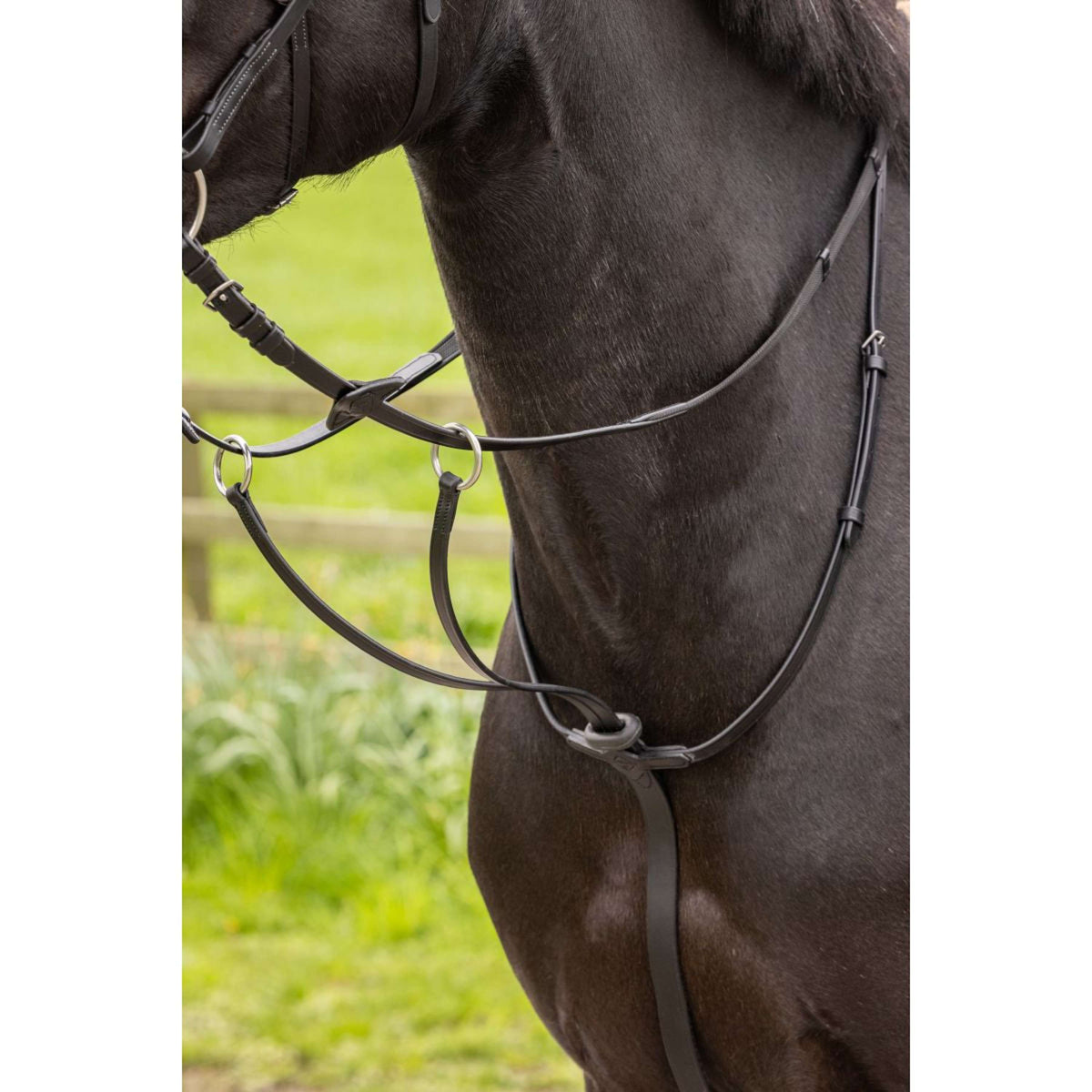 LeMieux Martingale Arika Running Noir/Argent