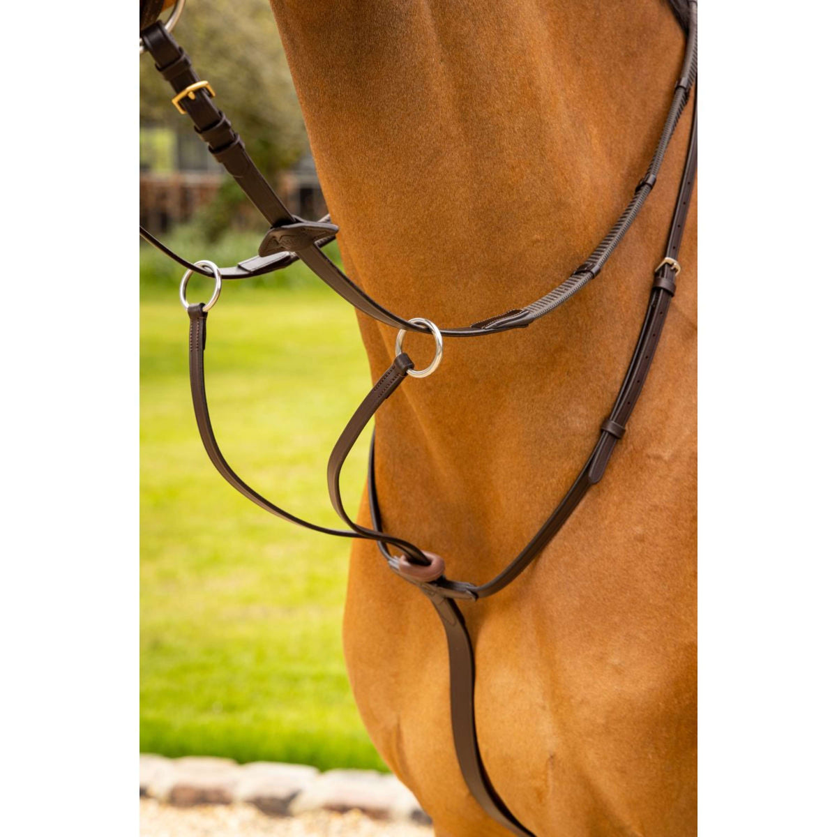 LeMieux Martingale Arika Running Marron/Argent