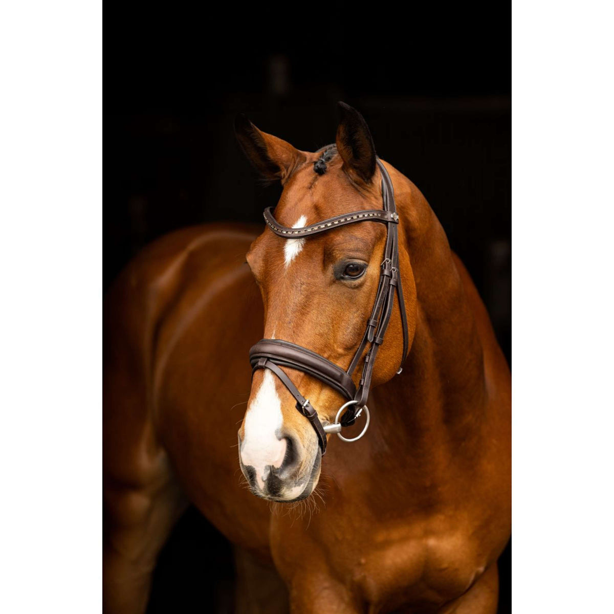 LeMieux Bride Arika Dressage Marron/Argent