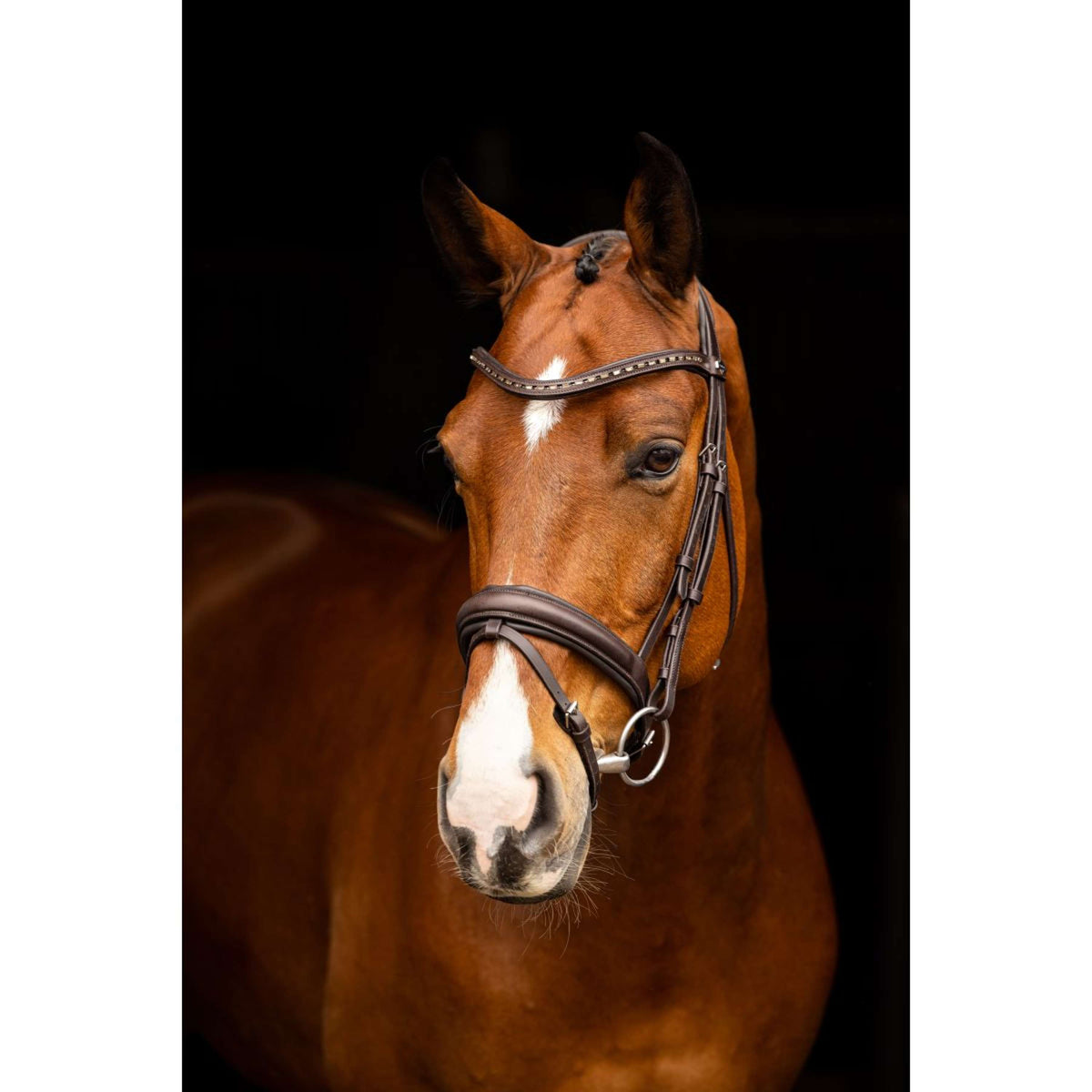 LeMieux Bride Arika Dressage Marron/Argent