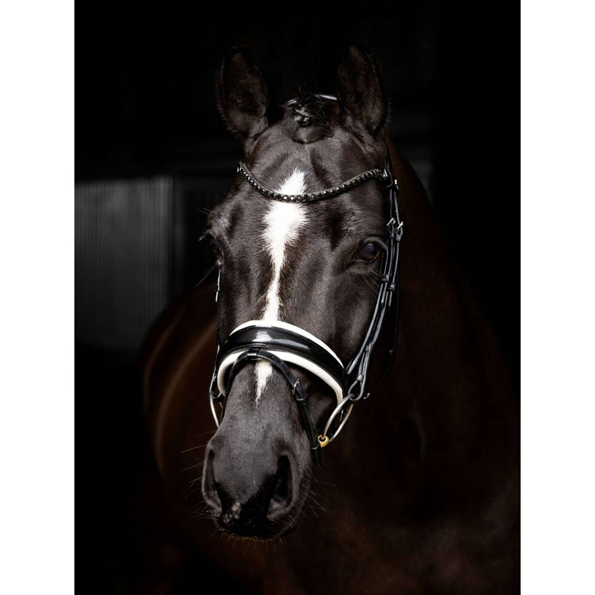 LeMieux Bride Kudos Patent Dressage Noir/Argent