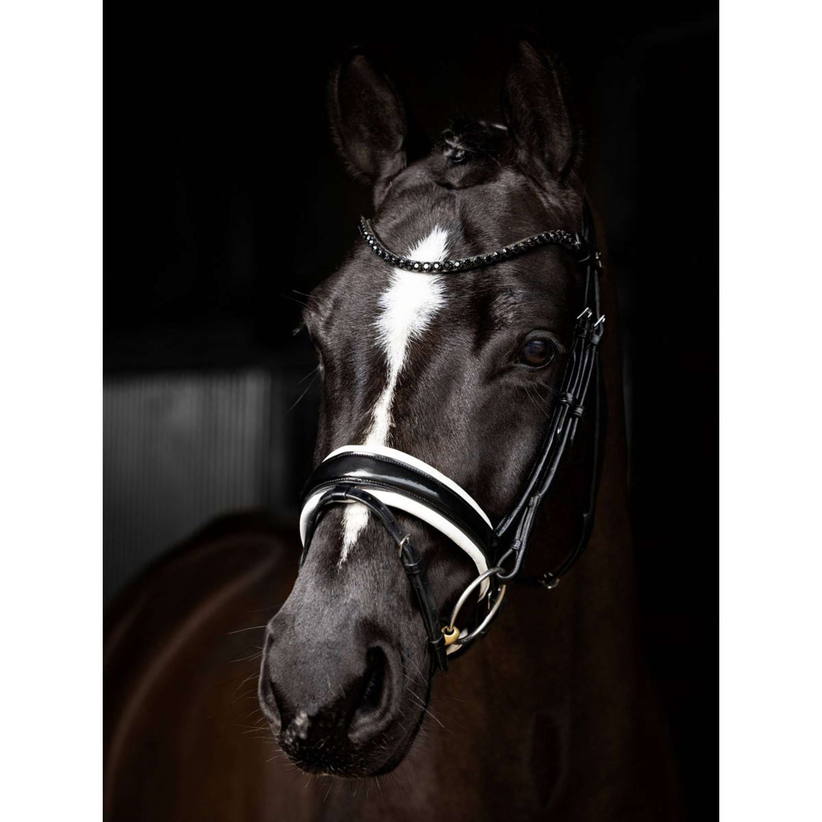 LeMieux Bride Kudos Patent Dressage Noir/Argent