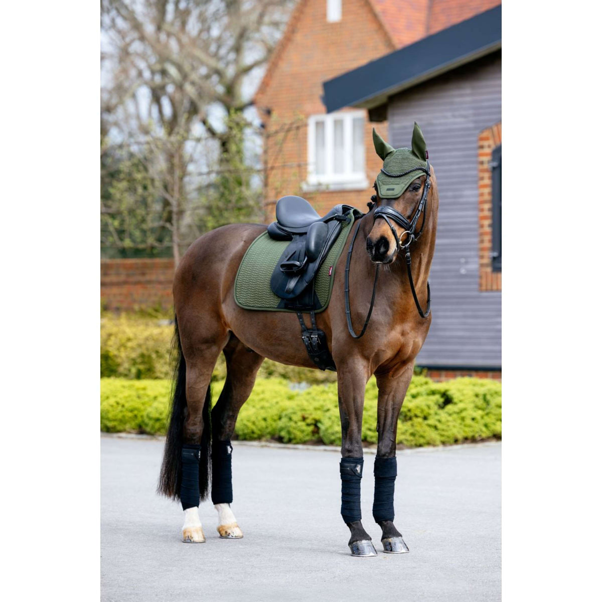 LeMieux Tapis de Selle Essence Dressage Pine Green