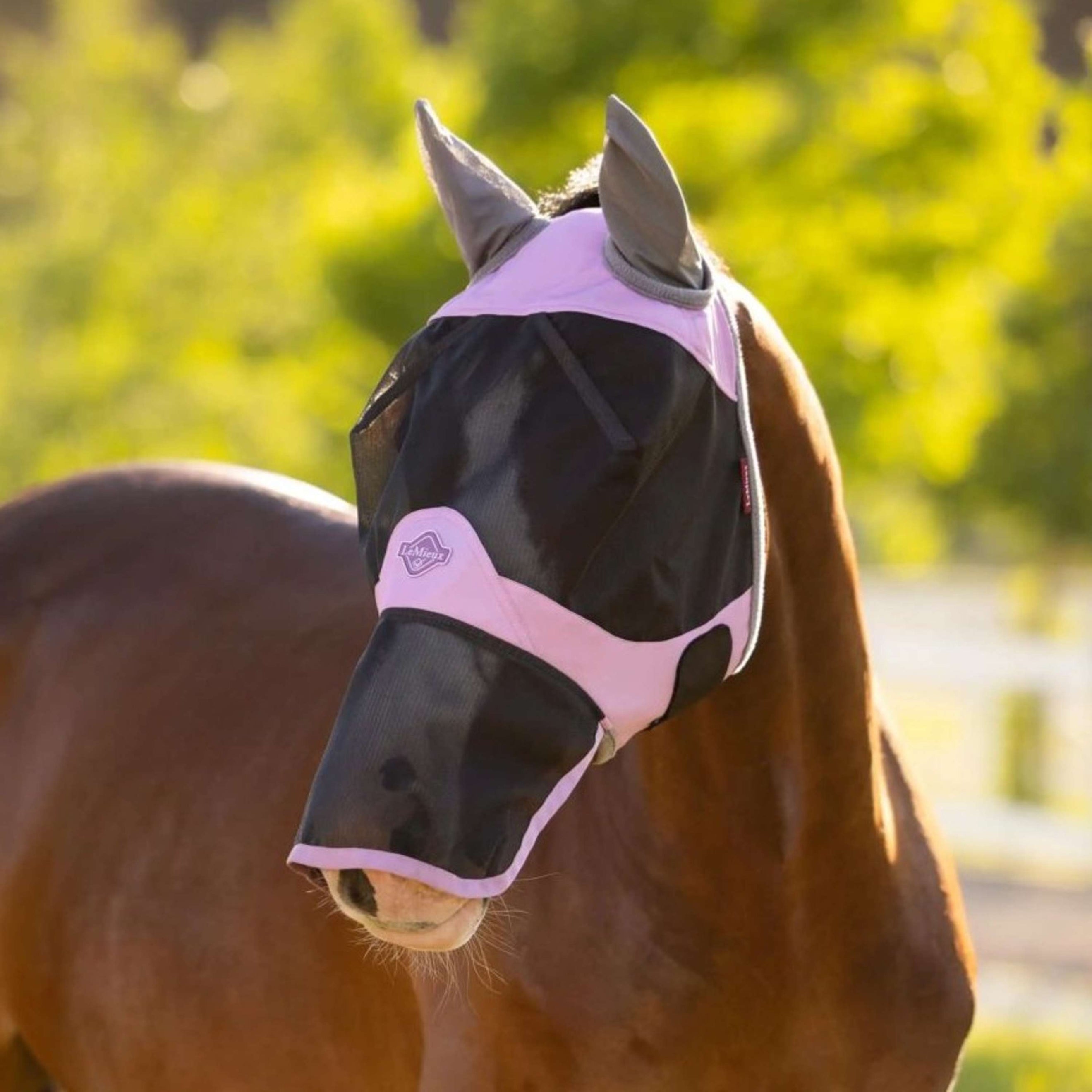 LeMieux Masque Anti-Mouches Visor-Tek Avec Filet Nez Fondant