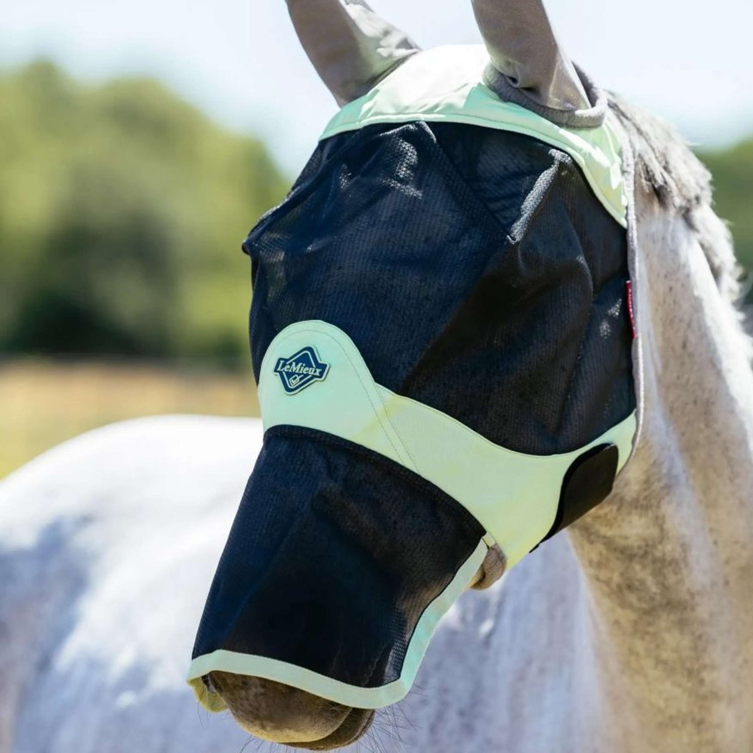 LeMieux Masque Anti-Mouches Visor-Tek Avec Filet Nez Macaron