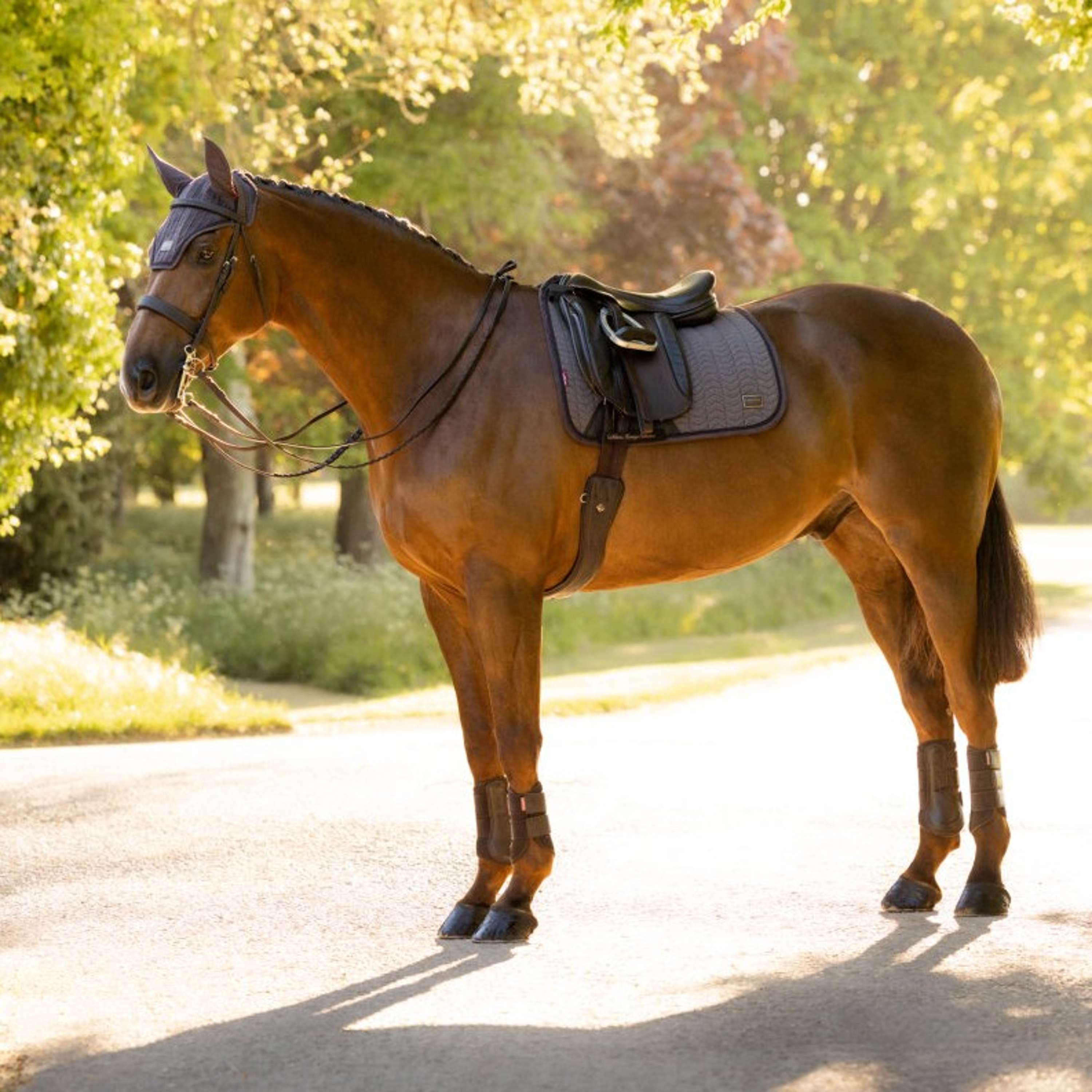 LeMieux Tapis de Selle Heritage Herringbone Square Dressage Cocoa