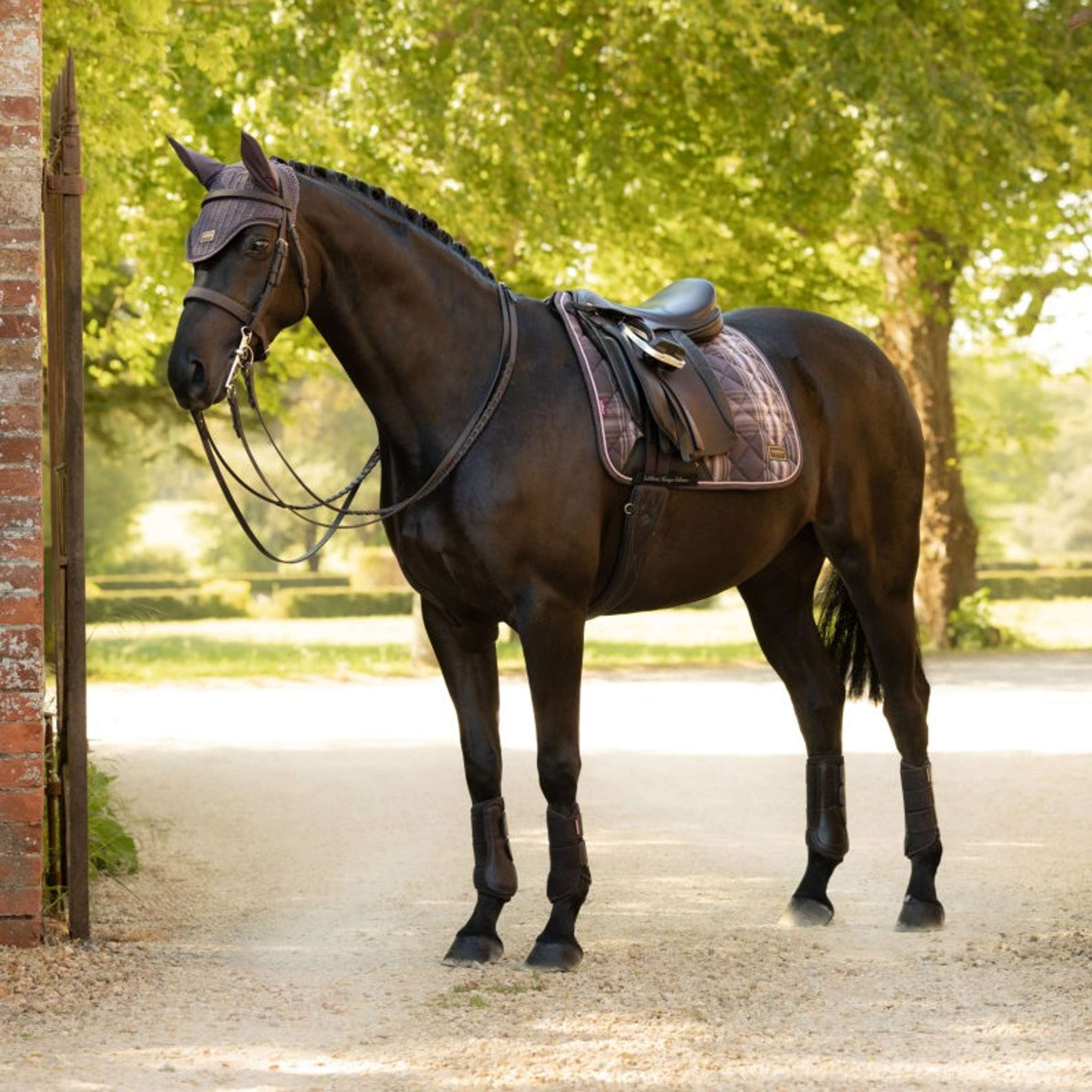 LeMieux Tapis de Selle Heritage Check Square Dressage Cocoa