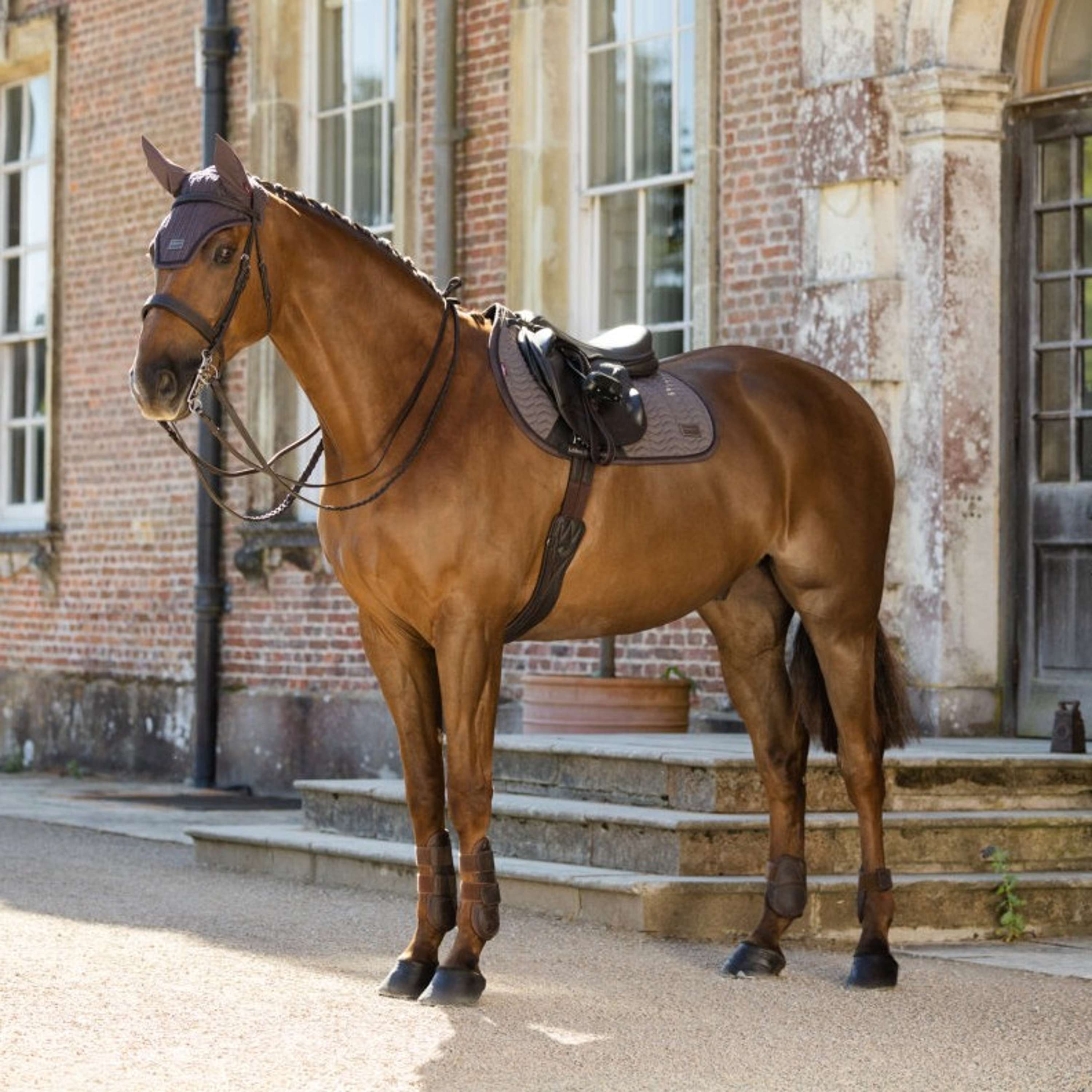 LeMieux Tapis de Selle Heritage Herringbone Square de Saut Cocoa
