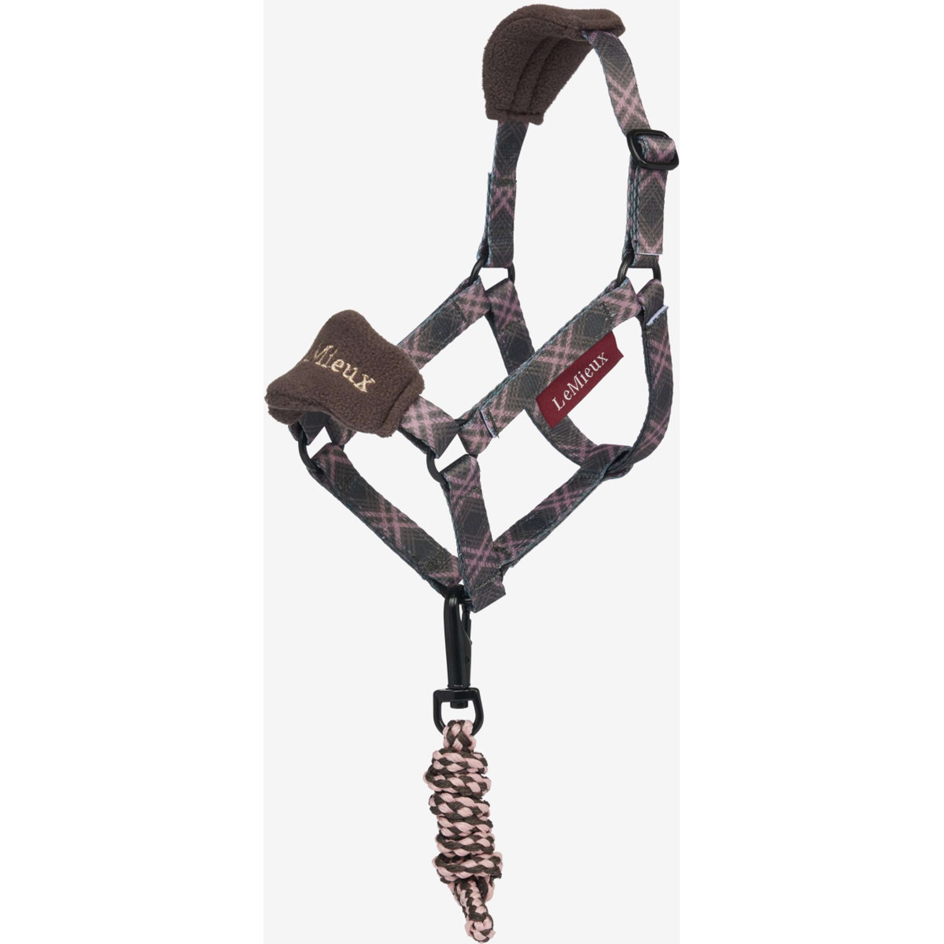 LeMieux Hobby Horse Ensemble Licol Vogue Cocoa