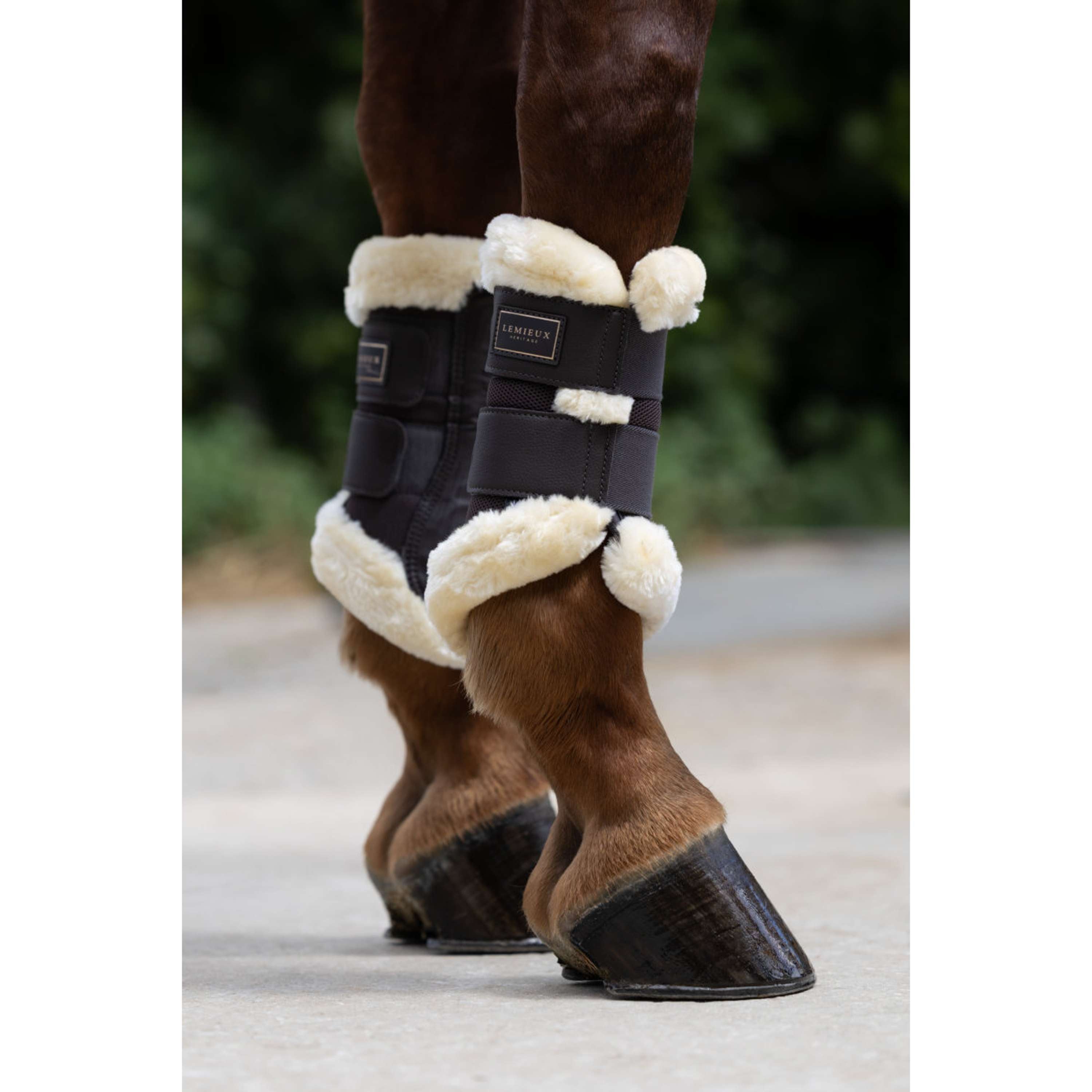 LeMieux Guêtres Heritage Fleece Edged Cocoa