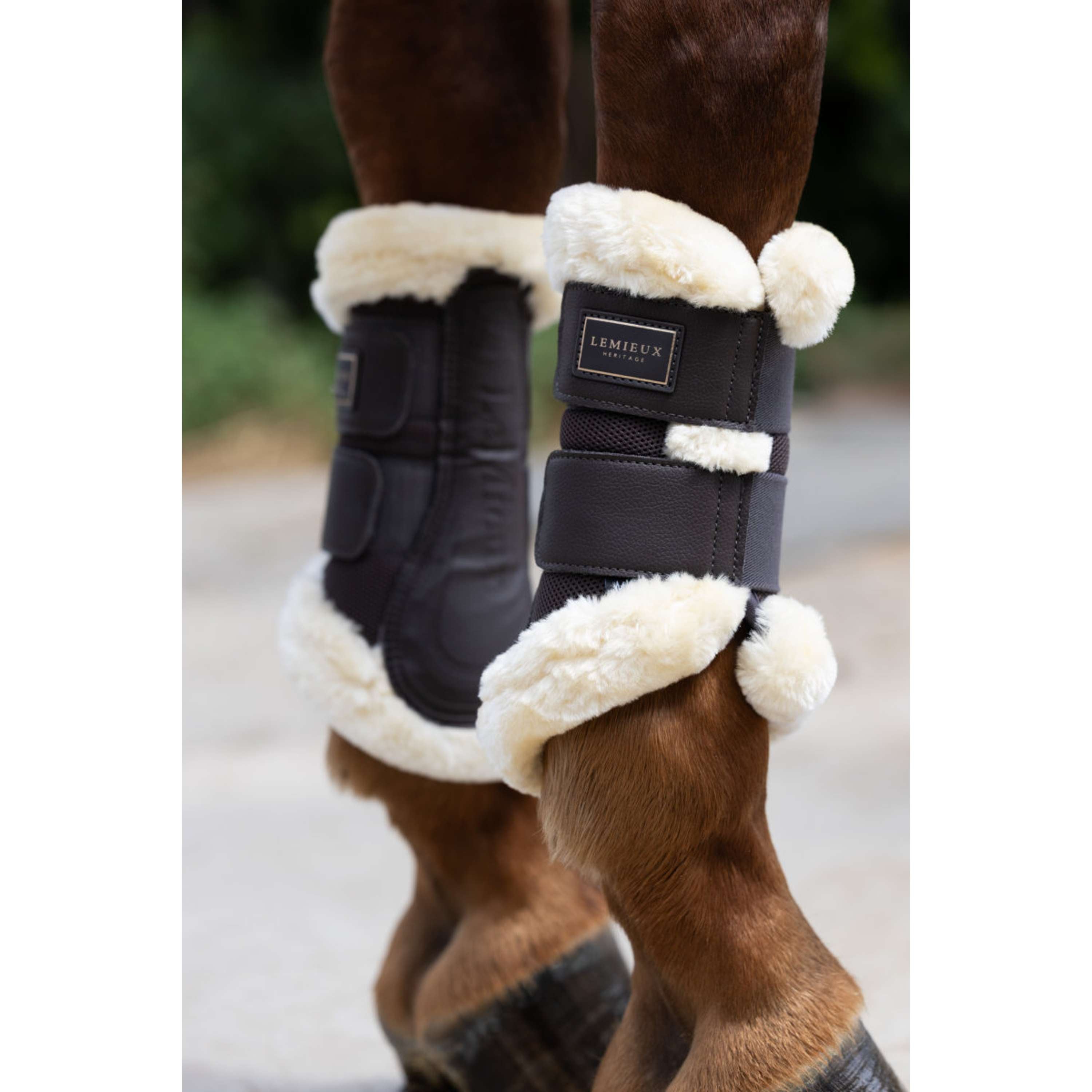 LeMieux Guêtres Heritage Fleece Edged Cocoa