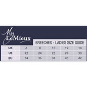 LeMieux Breeches Dynamique Full Seat Ice Grey