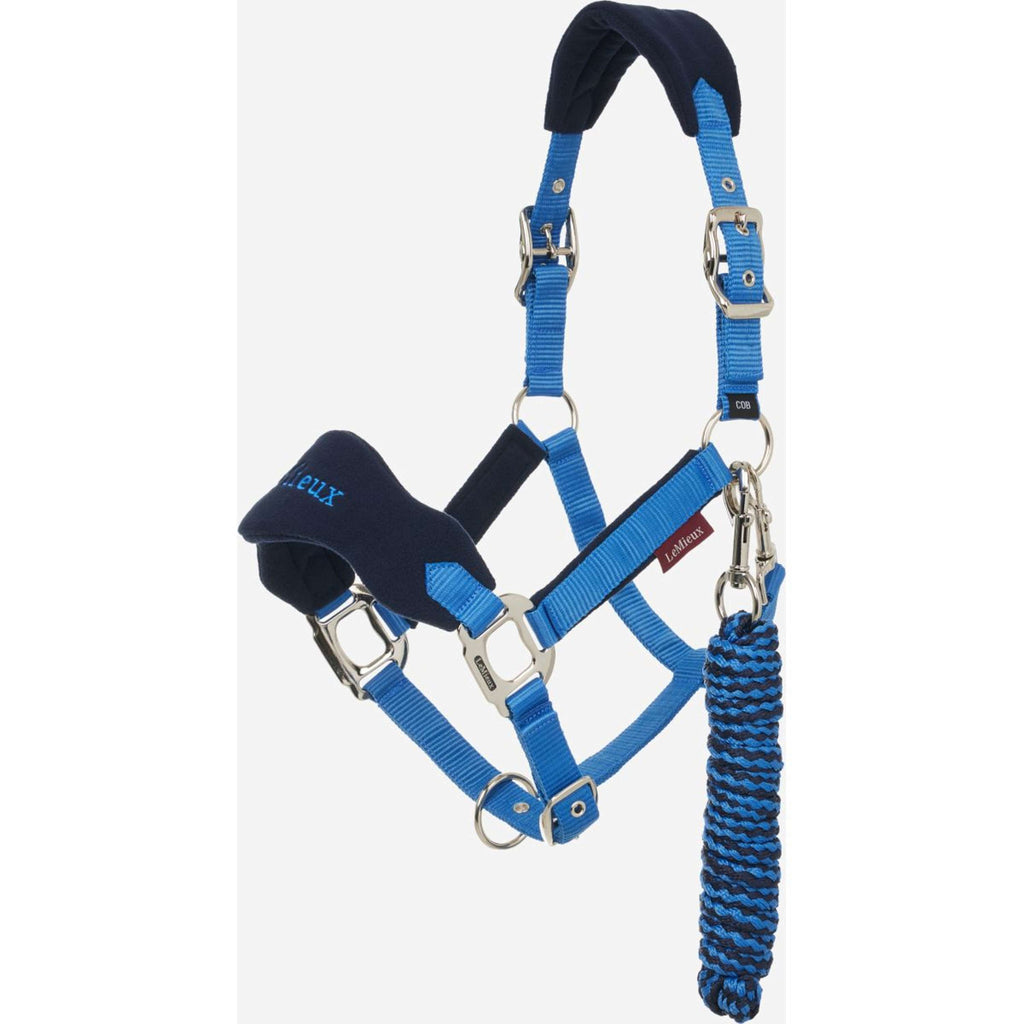 LeMieux Ensemble Licol Vogue Benetton Blue