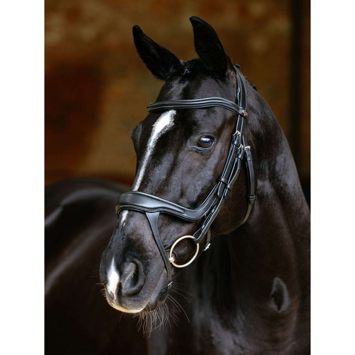 LeMieux Bride Arika Split Noseband Noir