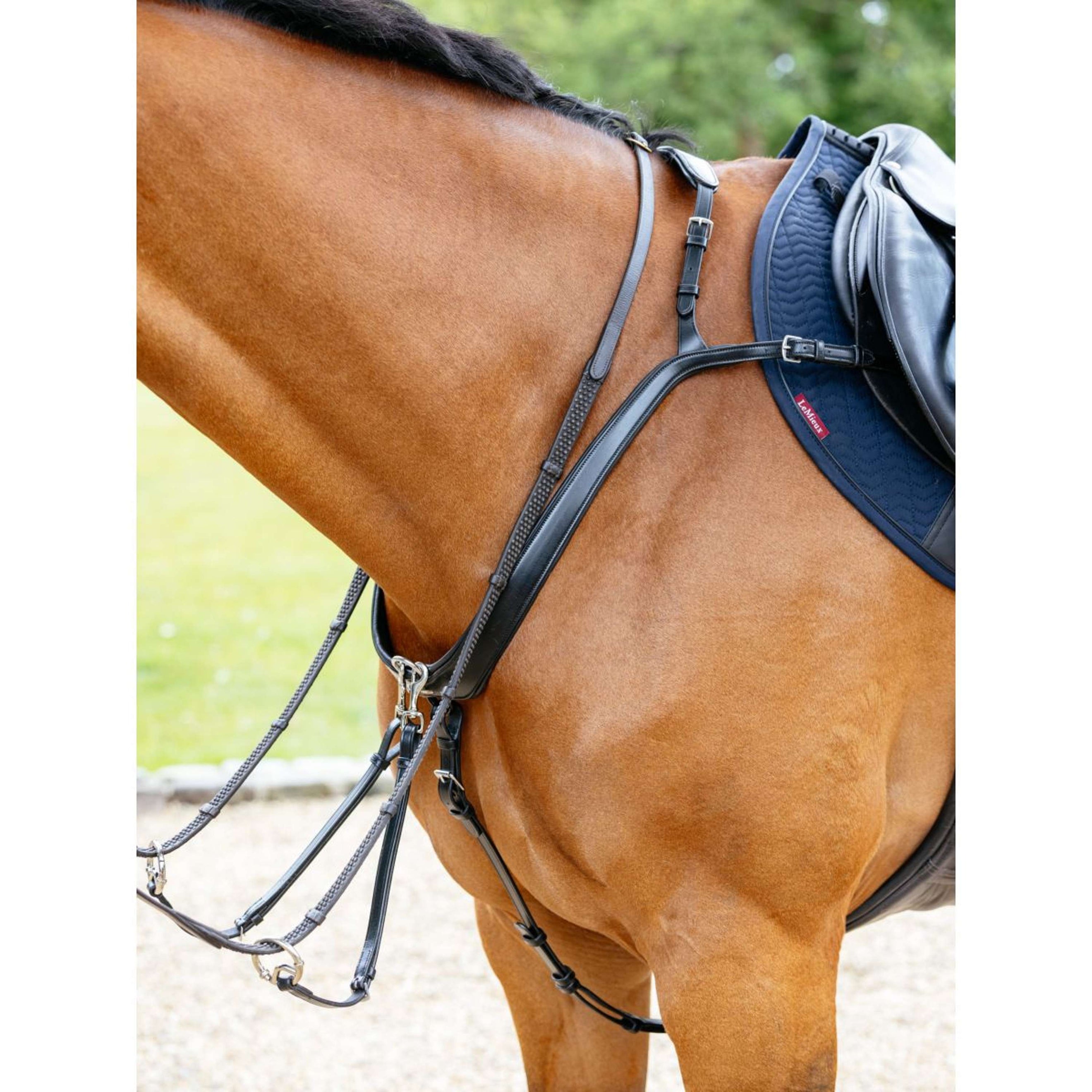 LeMieux Collier de Chasse Kudos Bridge Noir