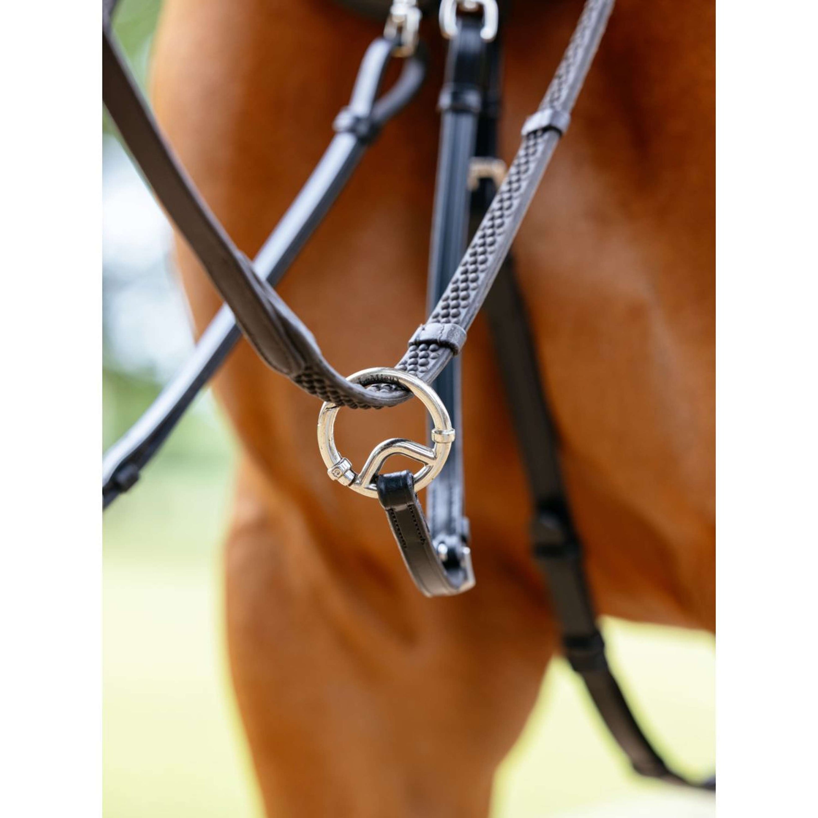 LeMieux Collier de Chasse Kudos Bridge Noir