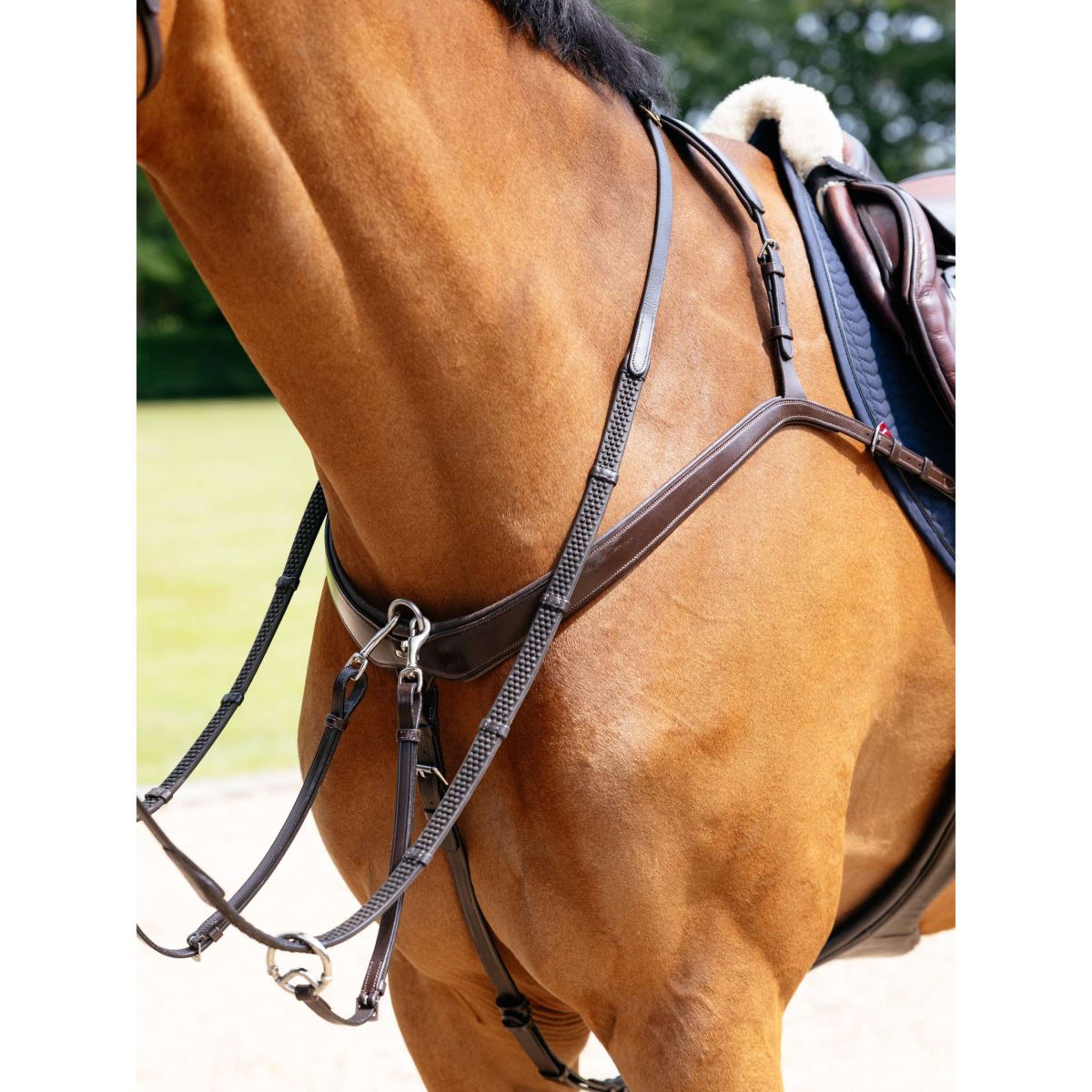 LeMieux Collier de Chasse Kudos Bridge Havane