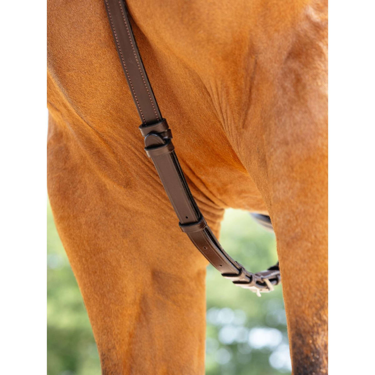 LeMieux Collier de Chasse Kudos Bridge Havane