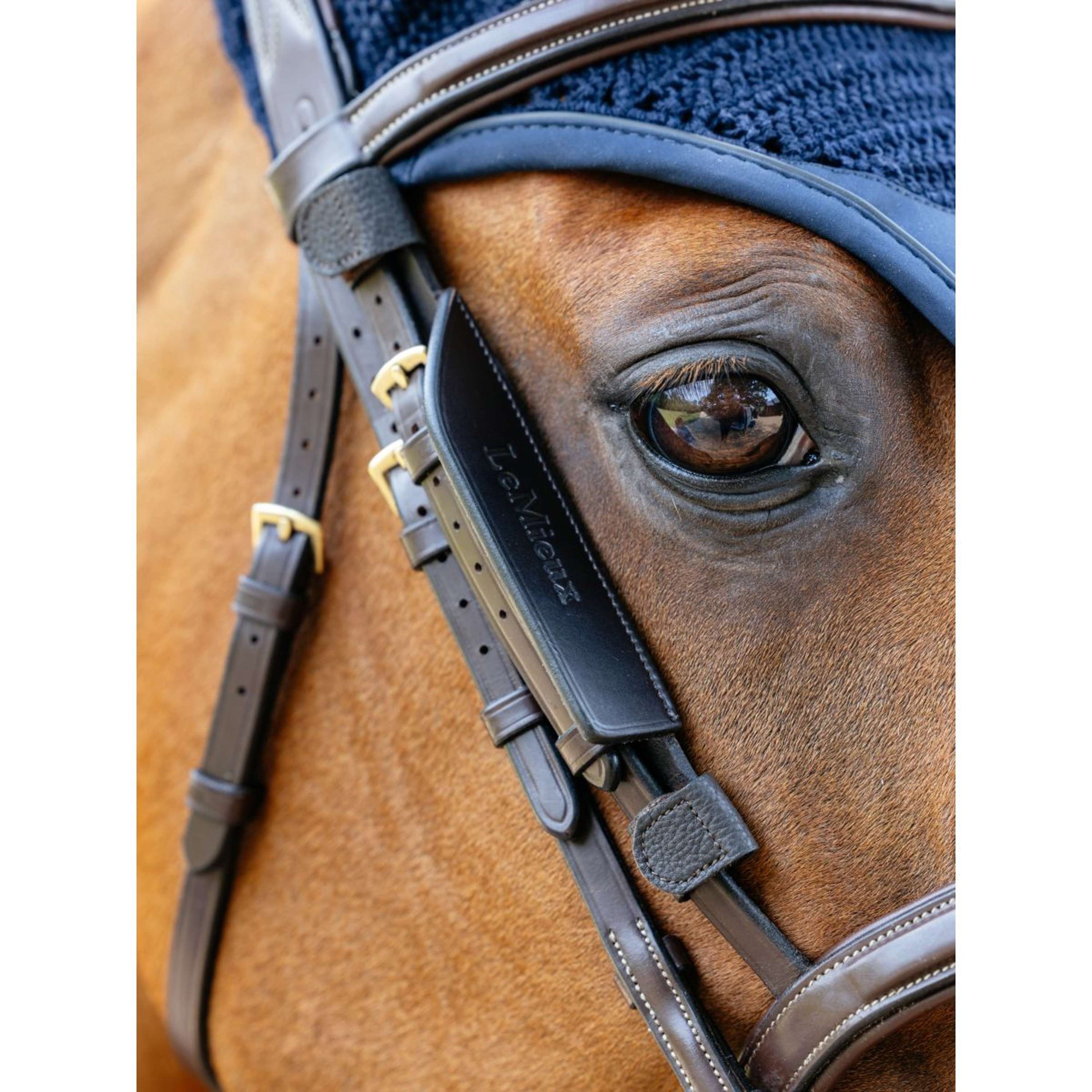 LeMieux Blinker Leather Marron LeMieux Blinker Leather Marron