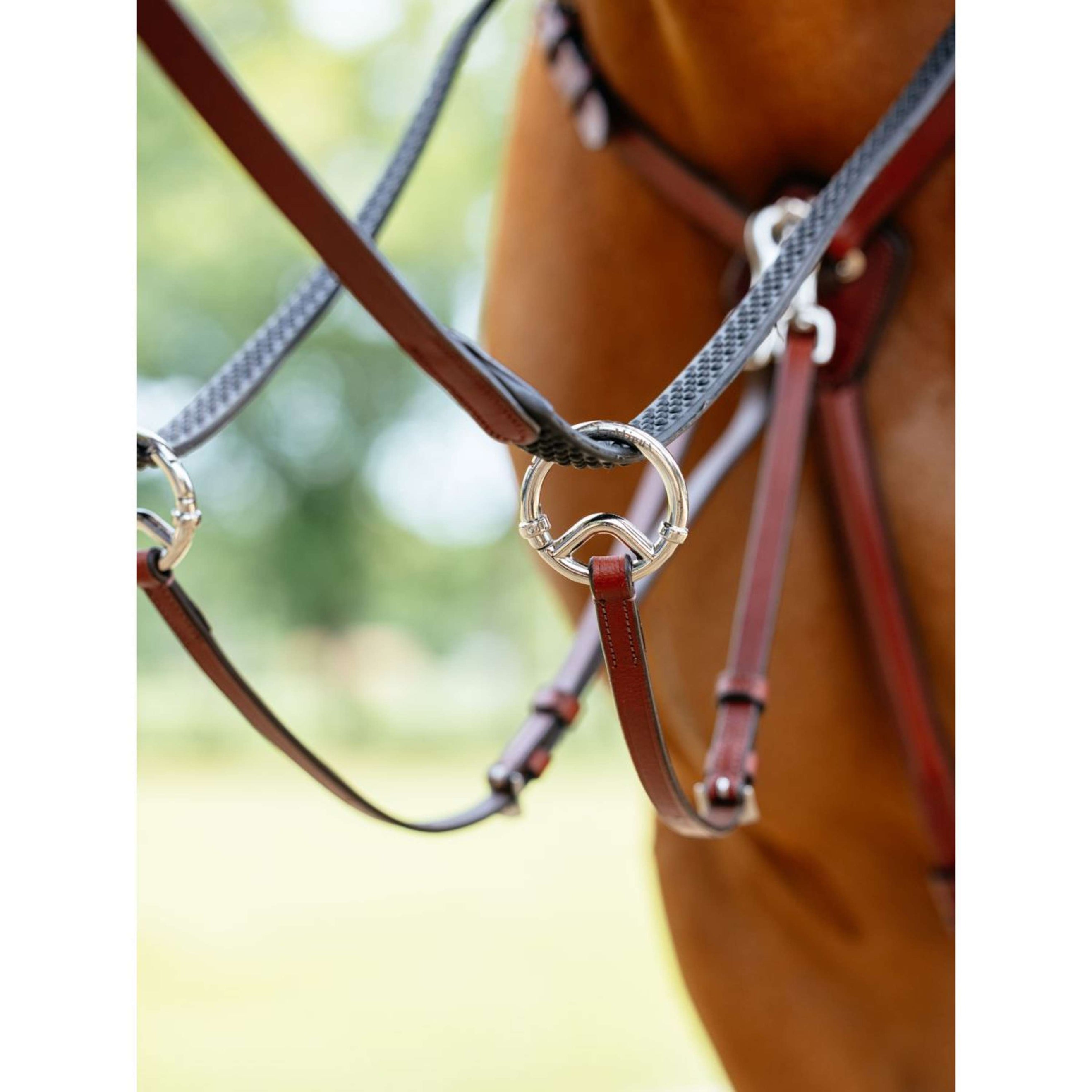 LeMieux Collier de Chasse D-Ring Attachment Châtaigne