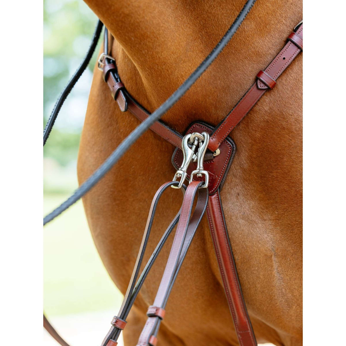 Spirit Cheval Ensemble D'attaches Pour Coiffe Et Collier De Poitrine Cheval Cuir De 1043596