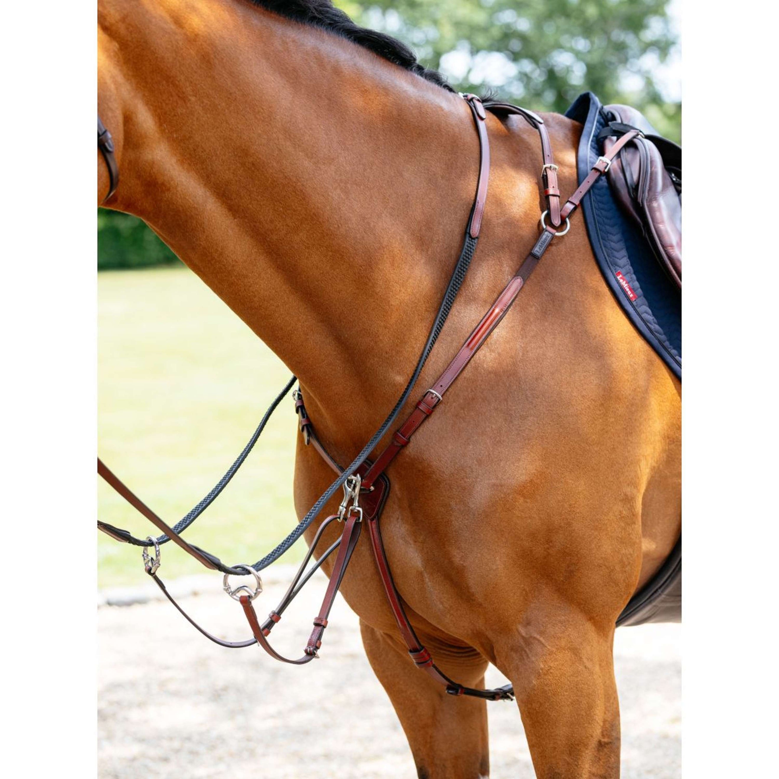 LeMieux Collier de Chasse D-Ring Attachment Châtaigne