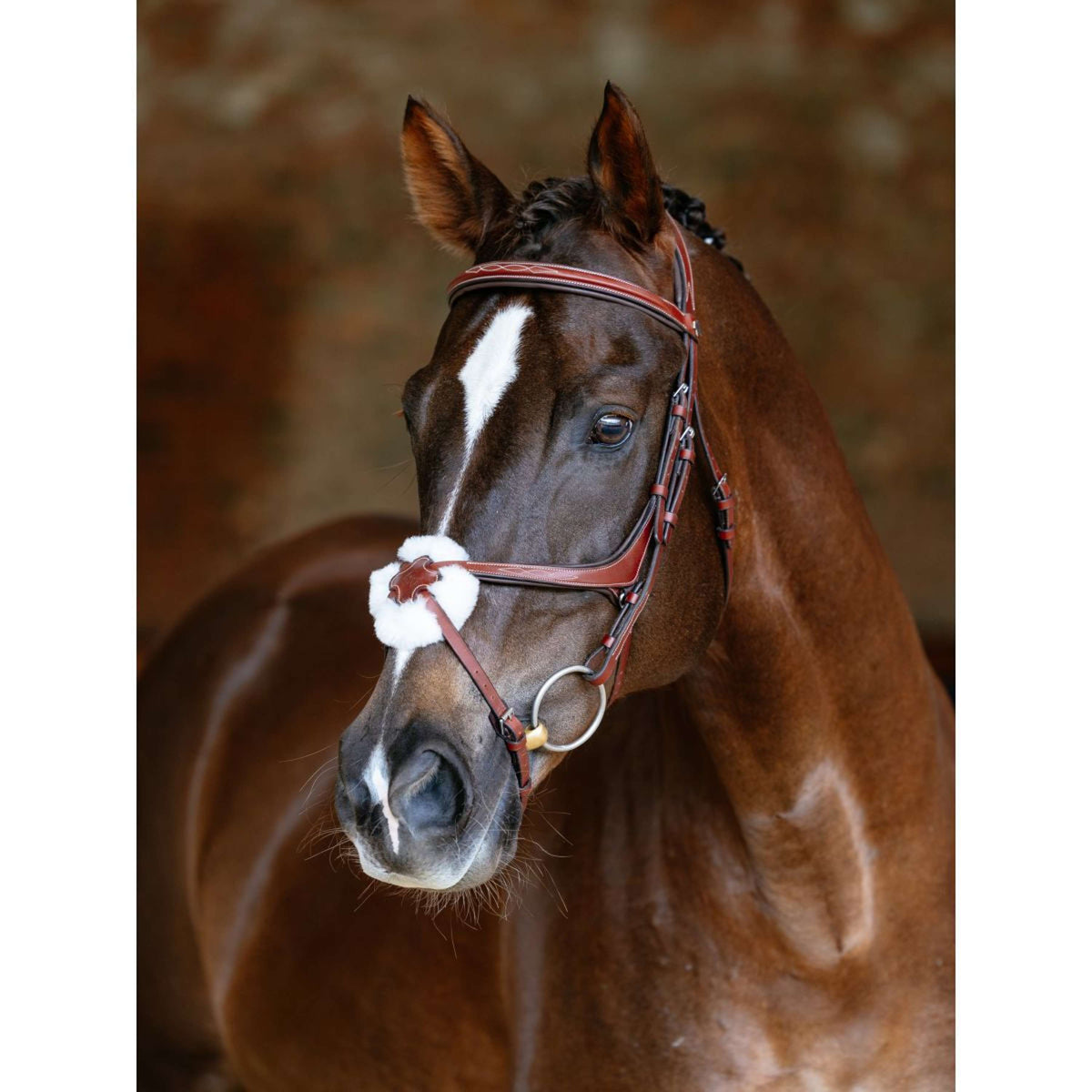 LeMieux Bride Kudos Grackle Châtaigne